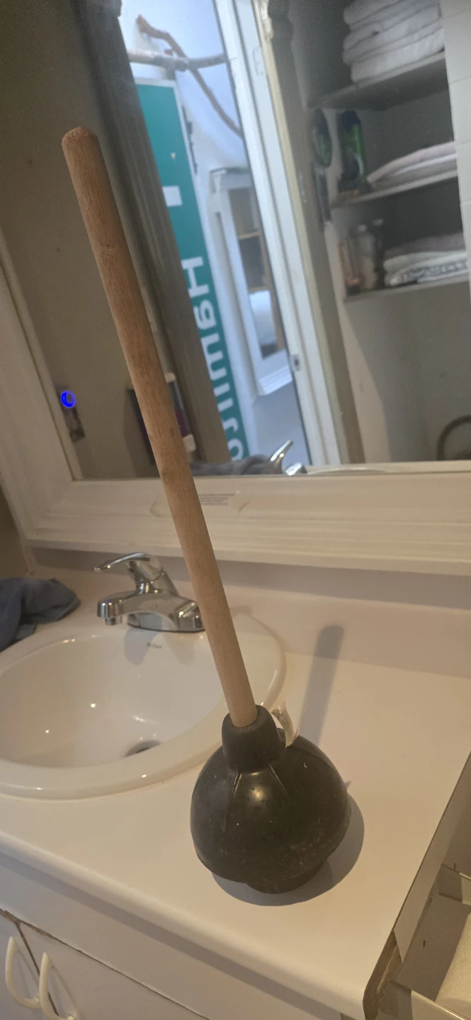 Wooden Handle Toilet Plunger