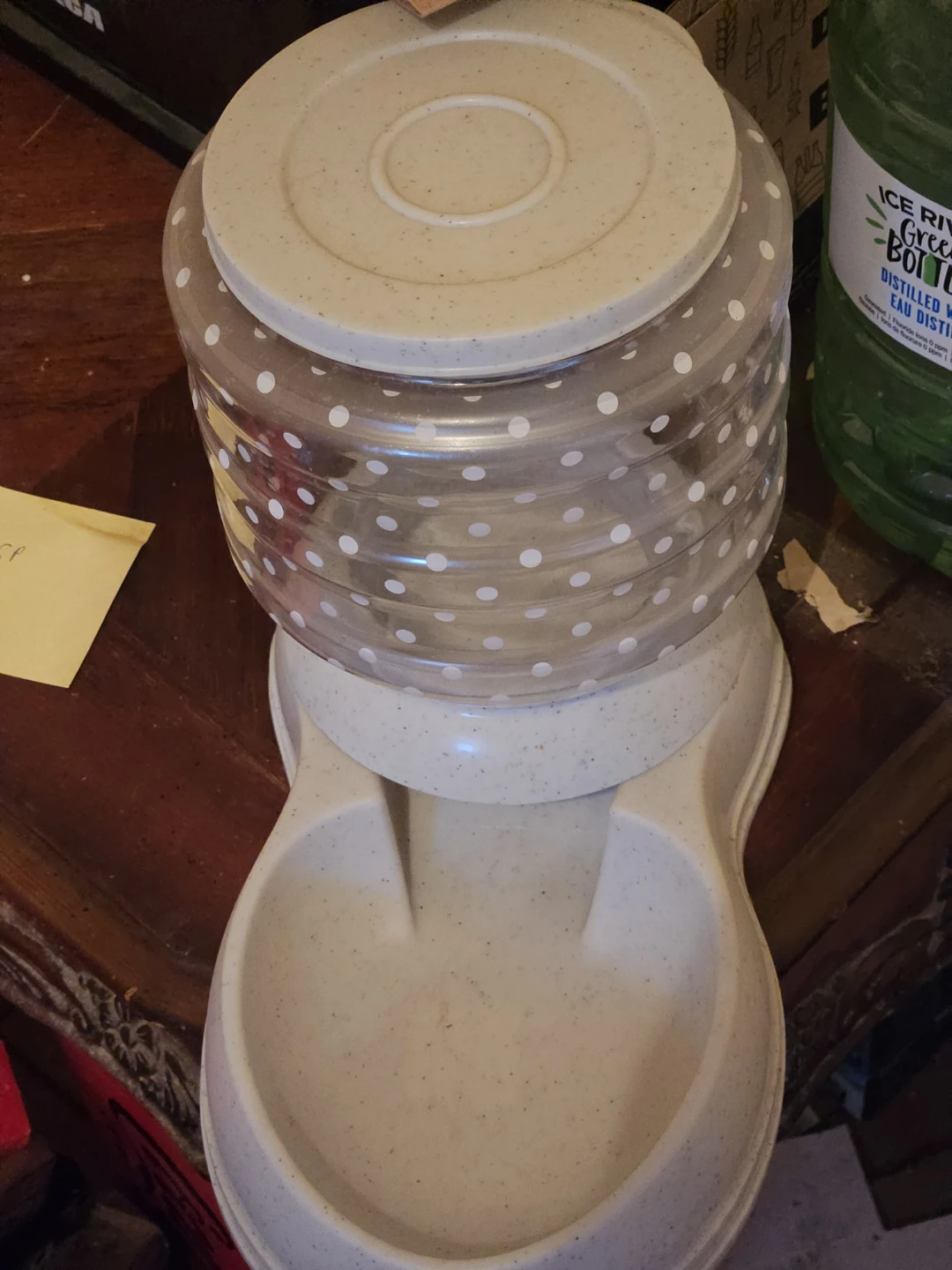 Automatic cat feeder