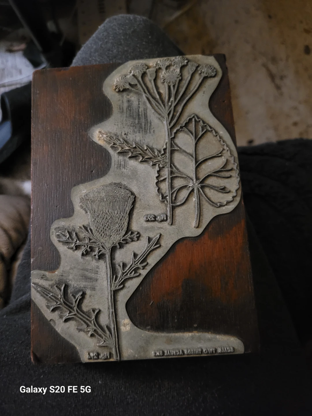 Vintage Botanical Woodblock Printing Plate - photo 2