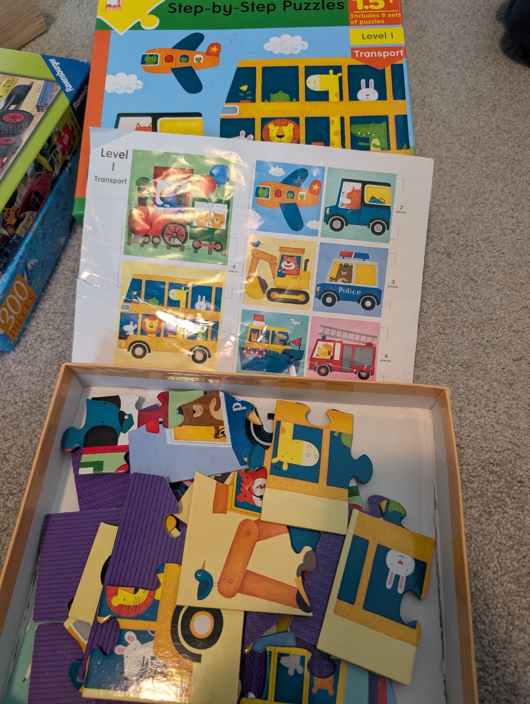 Puzzle sets bundle