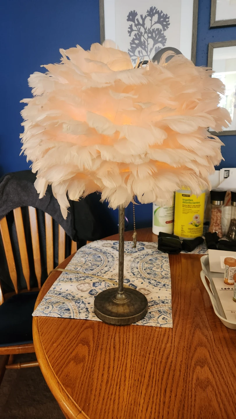 Feather Table Lamp with Fish Pull Chain - photo 3