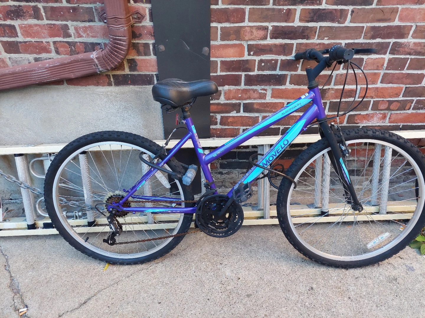 Movelo Algonquin Mountain Bike