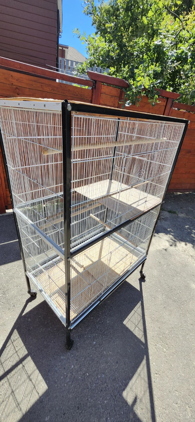 Flight cage for sale $150...can fit abt 10 years.