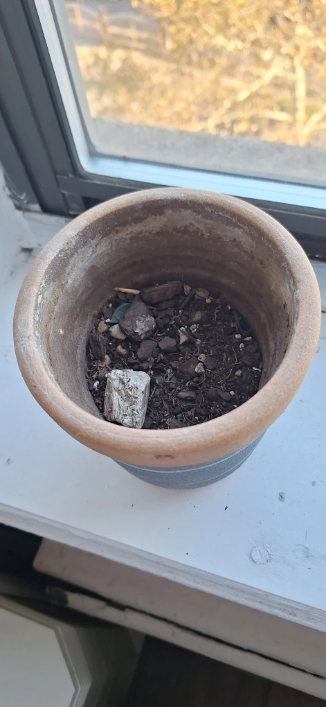 Kahl Accessories Ceramic Planter - photo 5
