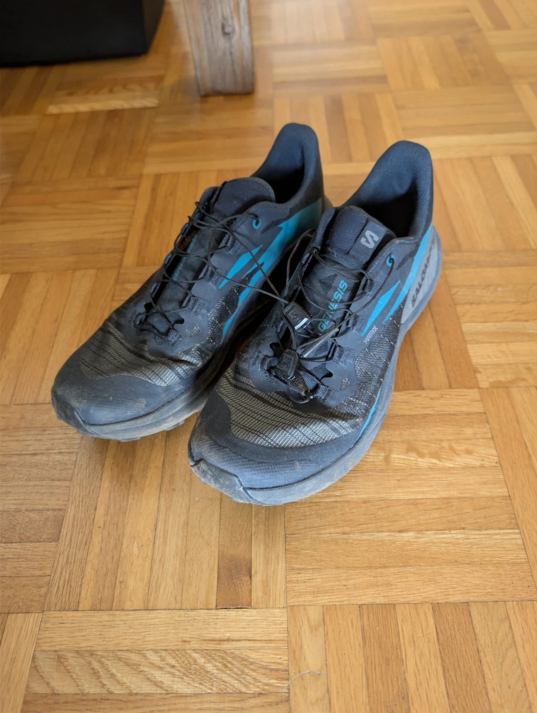 Salomon Genesis Trail Running Shoes
