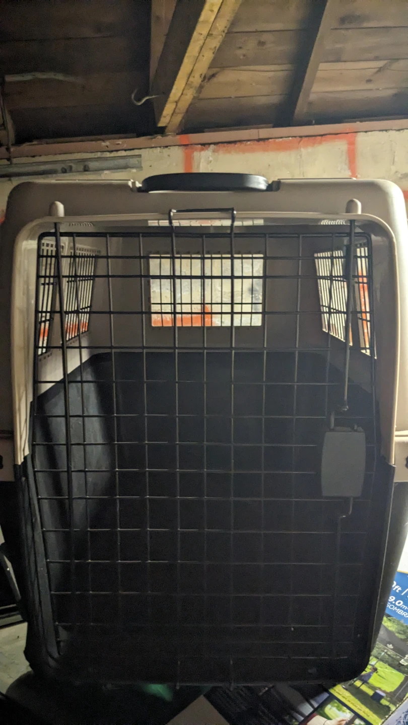 Large Hard Plastic Pet Travel Crate