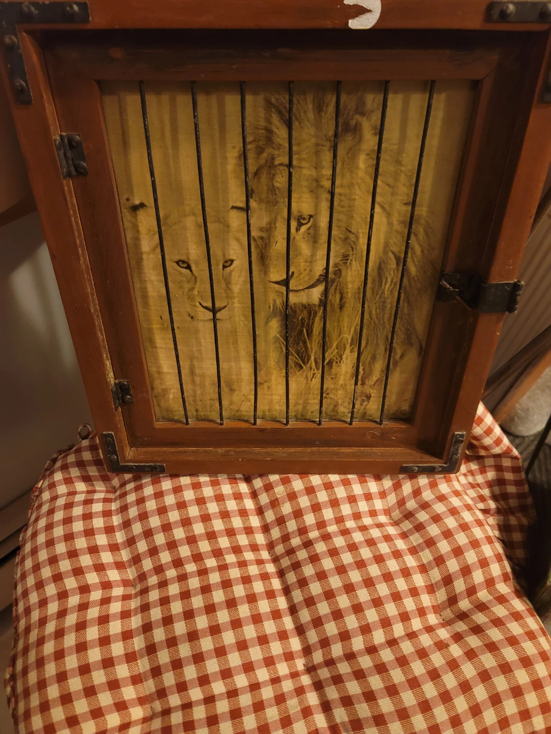 Vintage Lion Print in Wooden Cage Frame