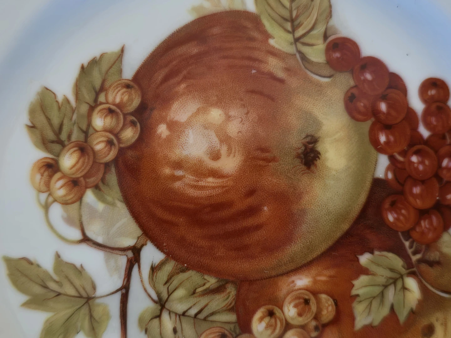 Winterling Western Germany Fruit Plate - photo 3