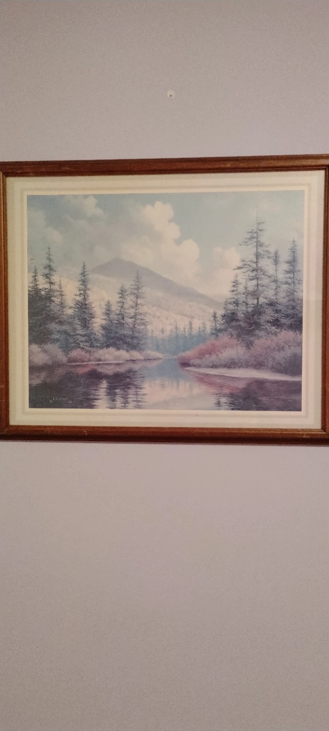 Framed Landscape Print