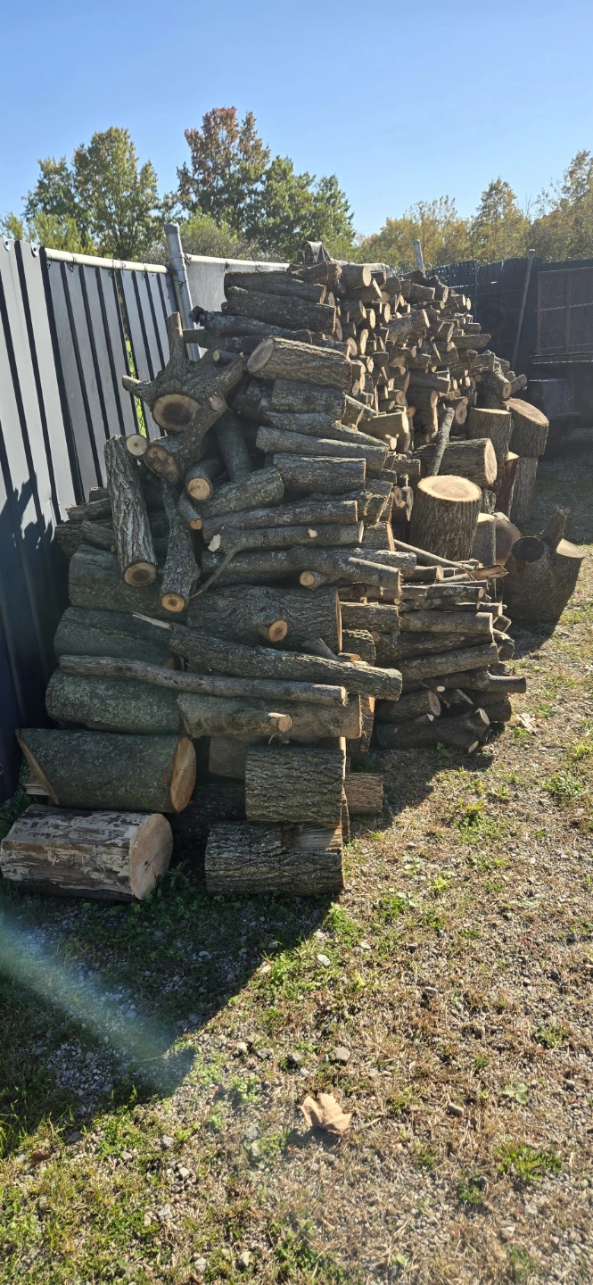 Firewood Logs - photo 5