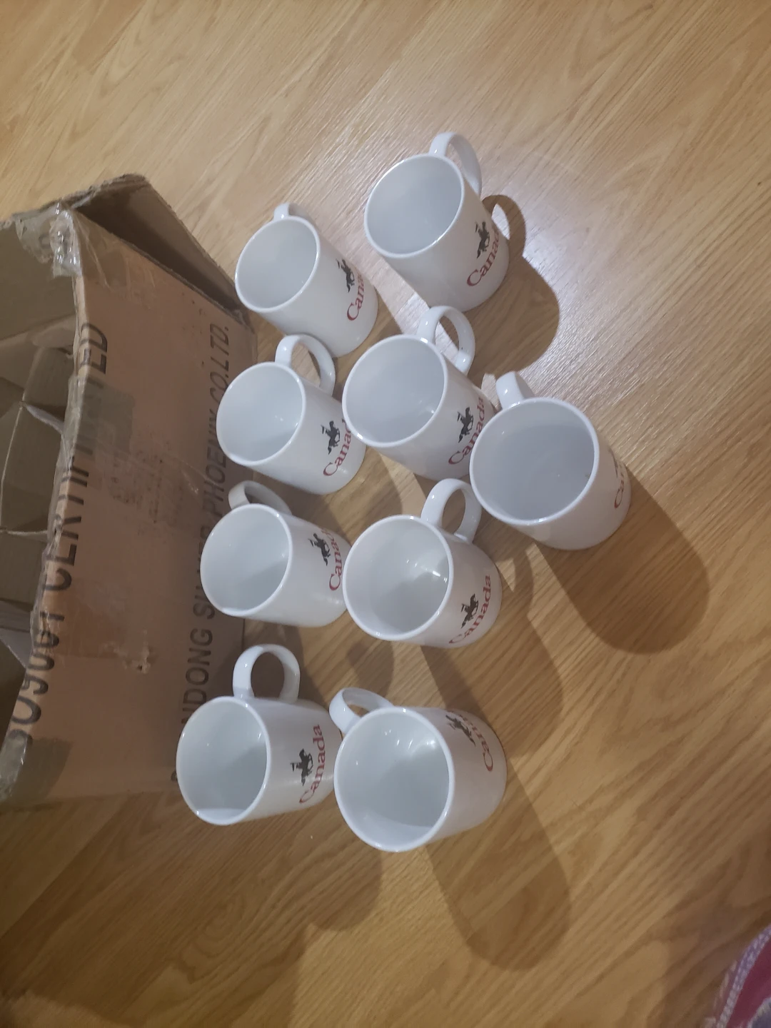 Set of 10 Canada Souvenir Mugs - photo 4