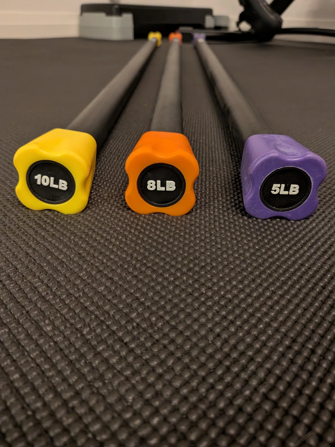 Set of Weighted Workout Bars (5lb, 8lb, 10lb)