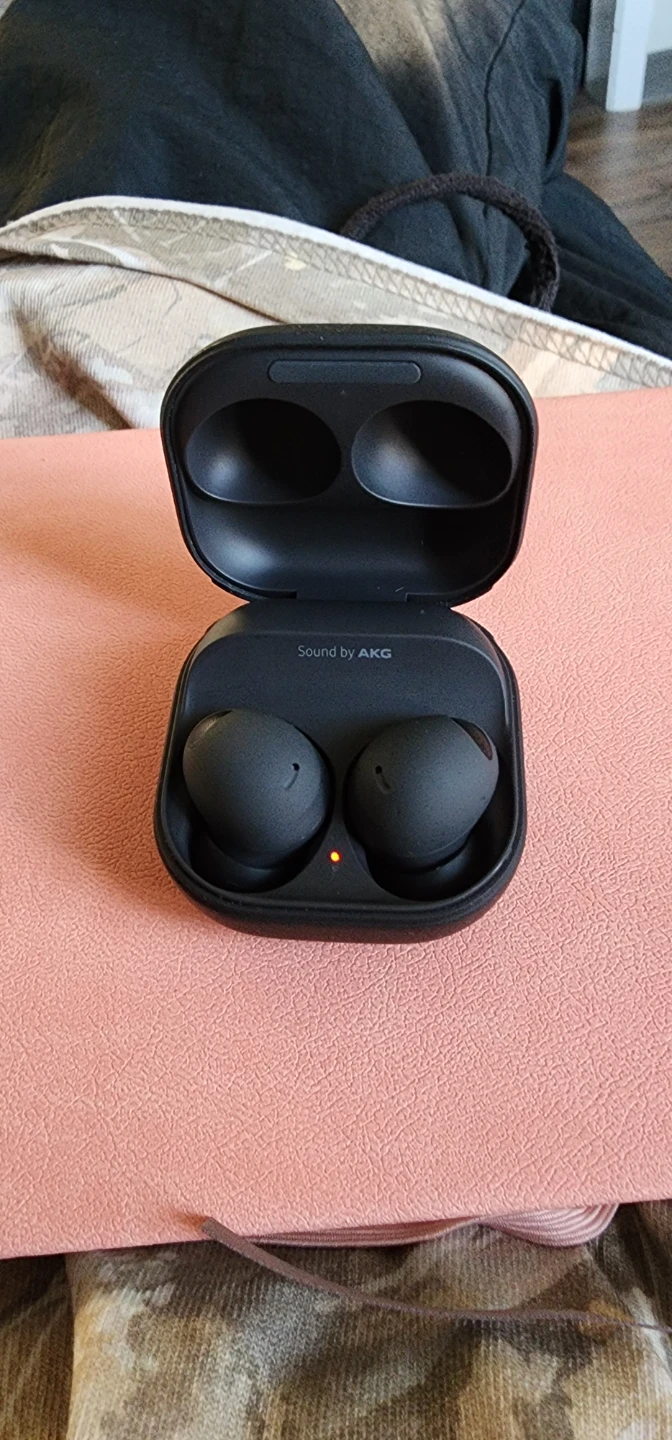 Samsung Galaxy Buds2 Pro Charging Case and Earbuds - photo 3