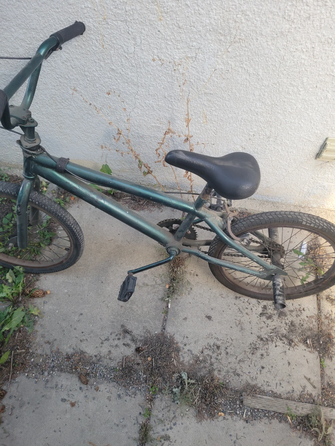 Dark Green BMX Bike