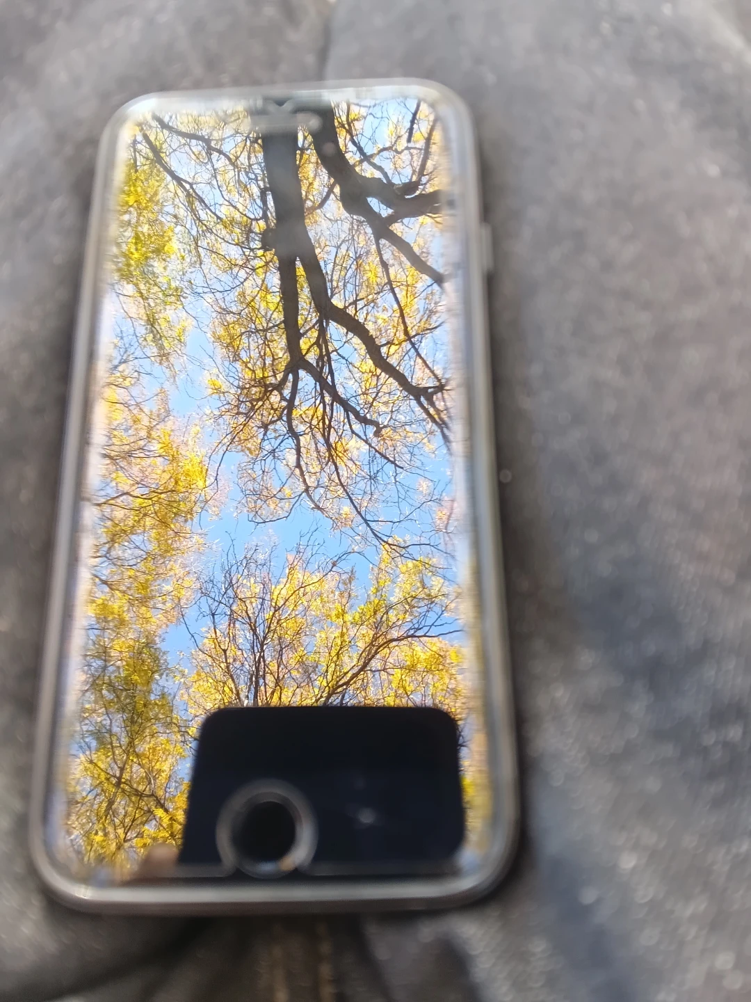 Apple iPhone 7 - photo 3
