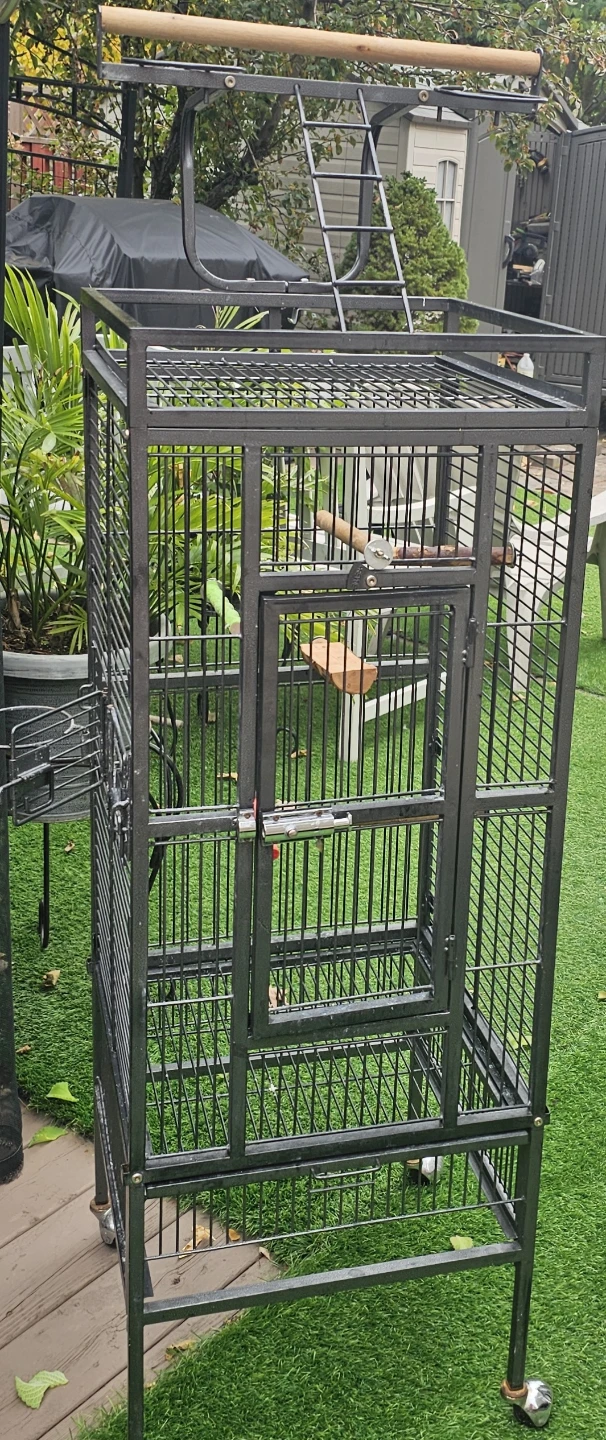 Very Large Parrot Cage