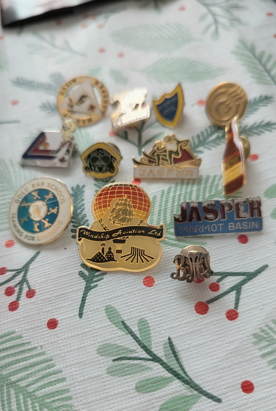 Collection of 11 Collectible Souvenir Pins