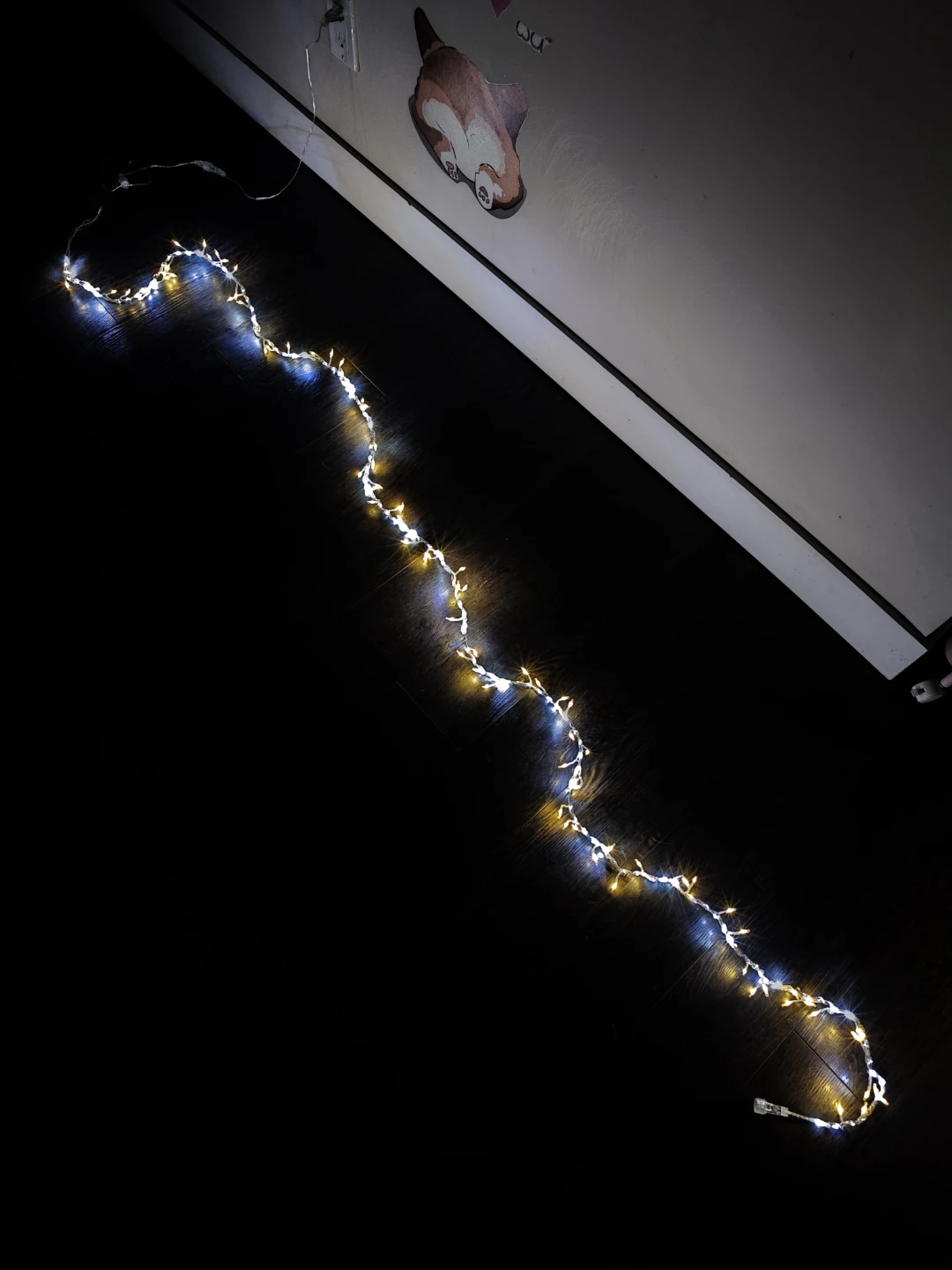 Holiday LED Decorative String Lights - photo 2