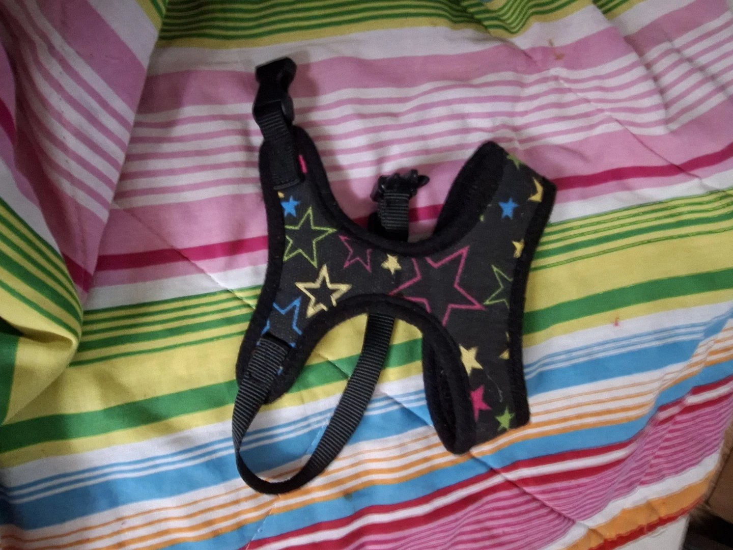 Small Pet Harness with Star Pattern