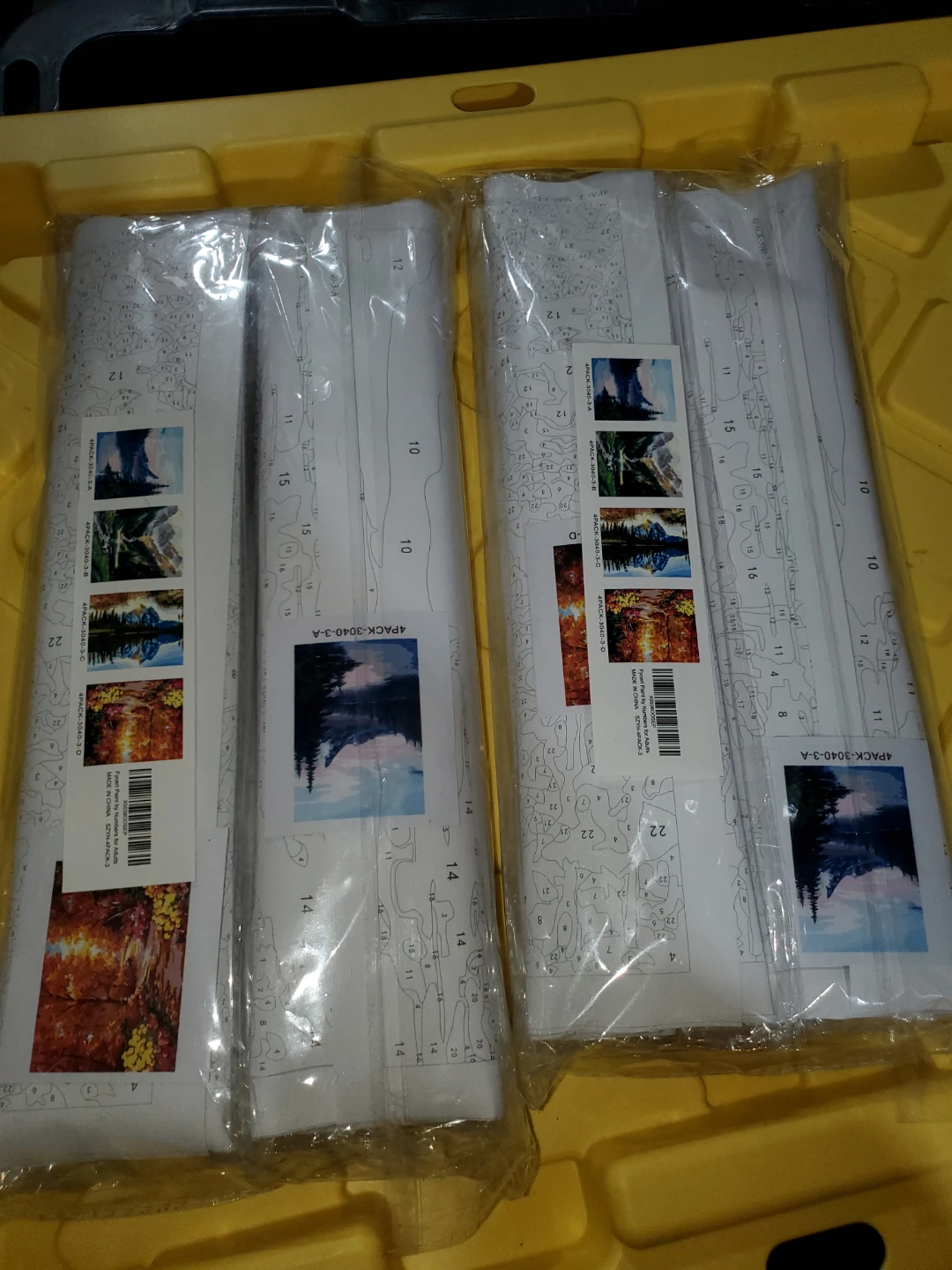 Fyent Paint by Numbers 4-Pack Set