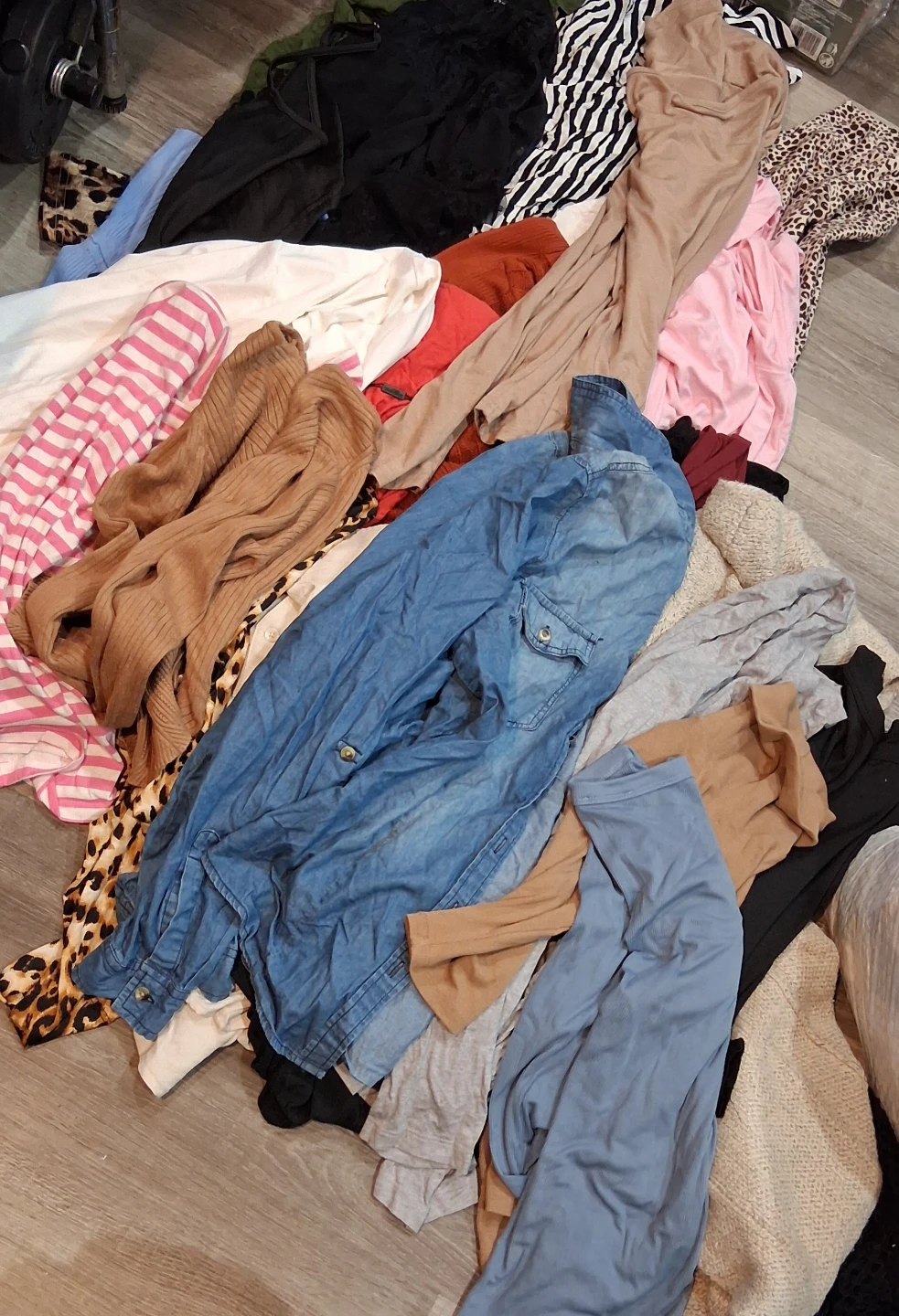 Assorted Women's Clothing LOT of 25+ Tops