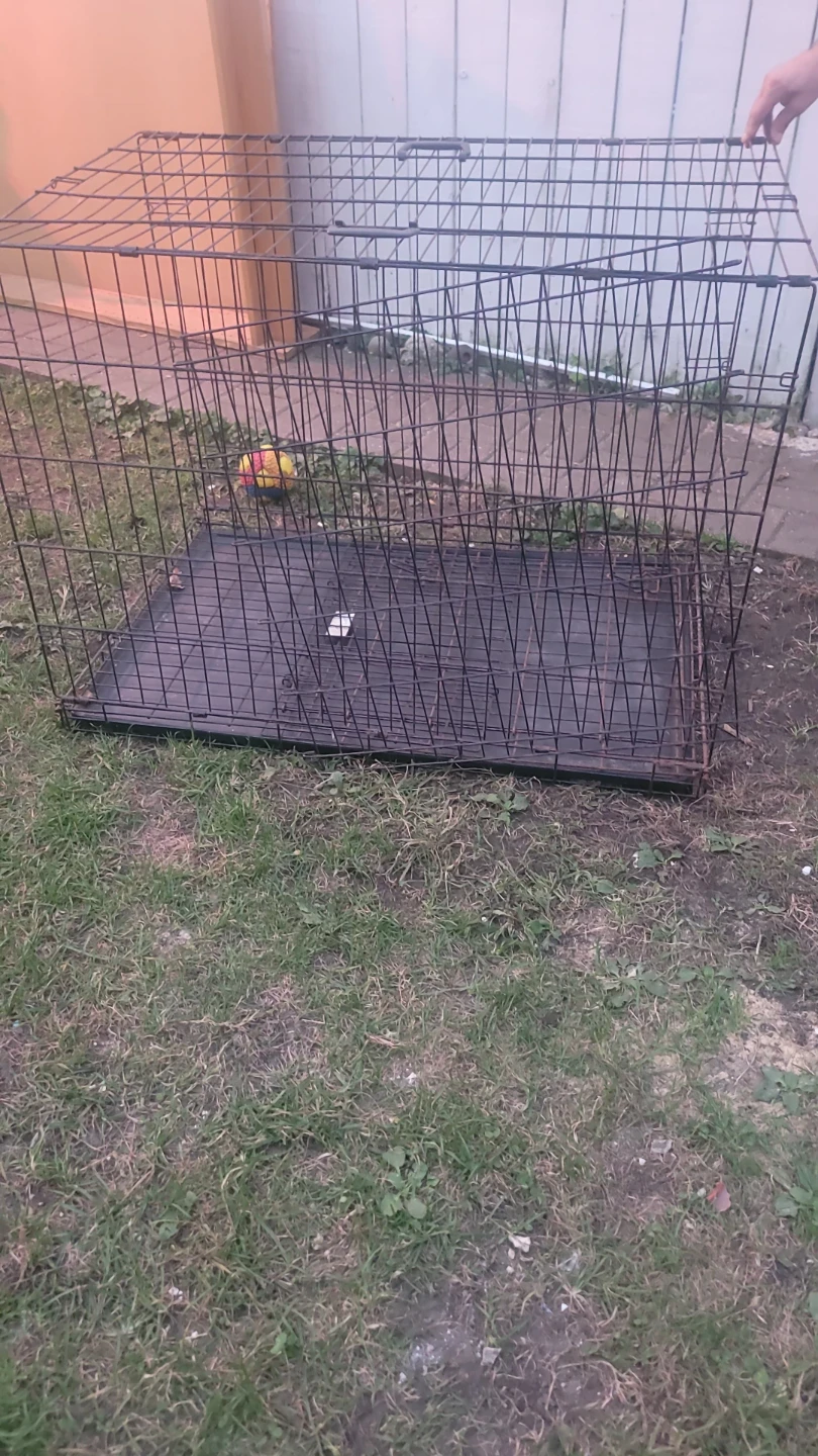 Large Collapsible Metal Dog Crate - photo 3