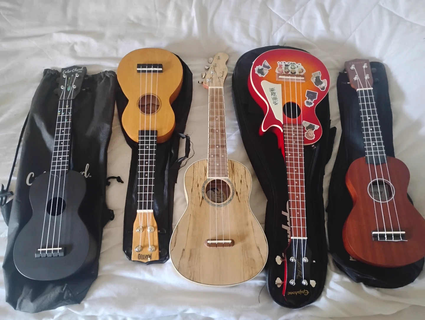 Collection of Five Ukuleles with Carrying Cases - photo 2