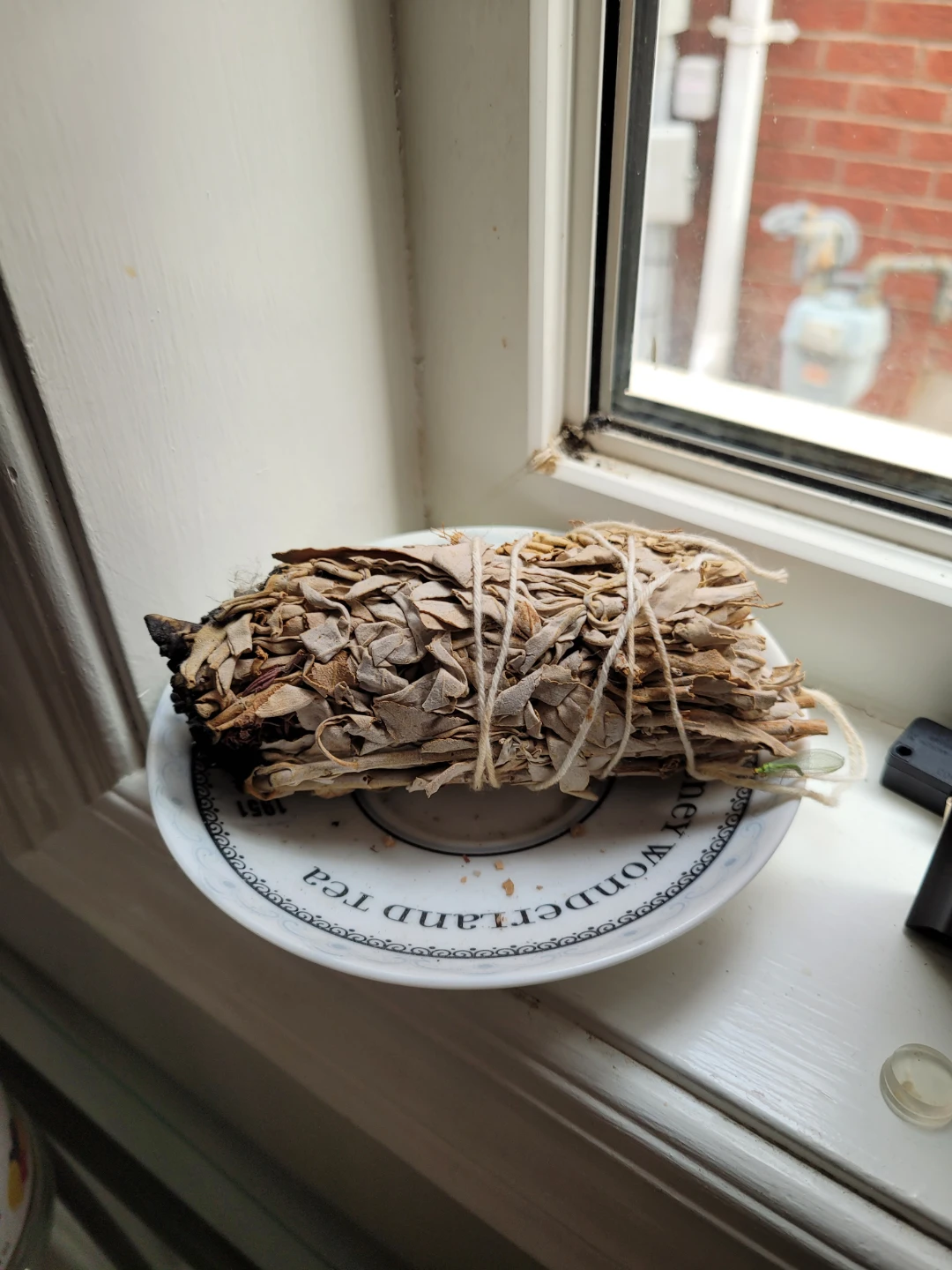 Sage Smudge Stick