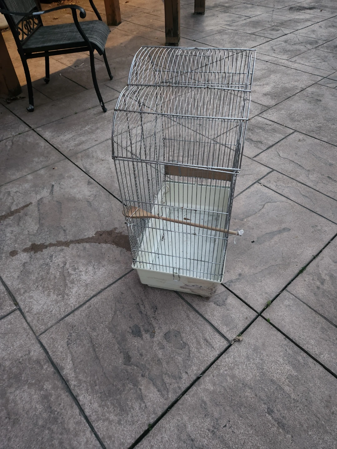 Birdcage - photo 3