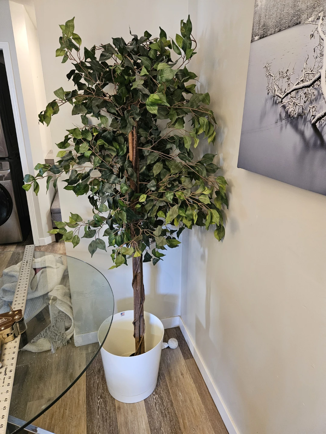 Artificial Ficus Tree in White Planter