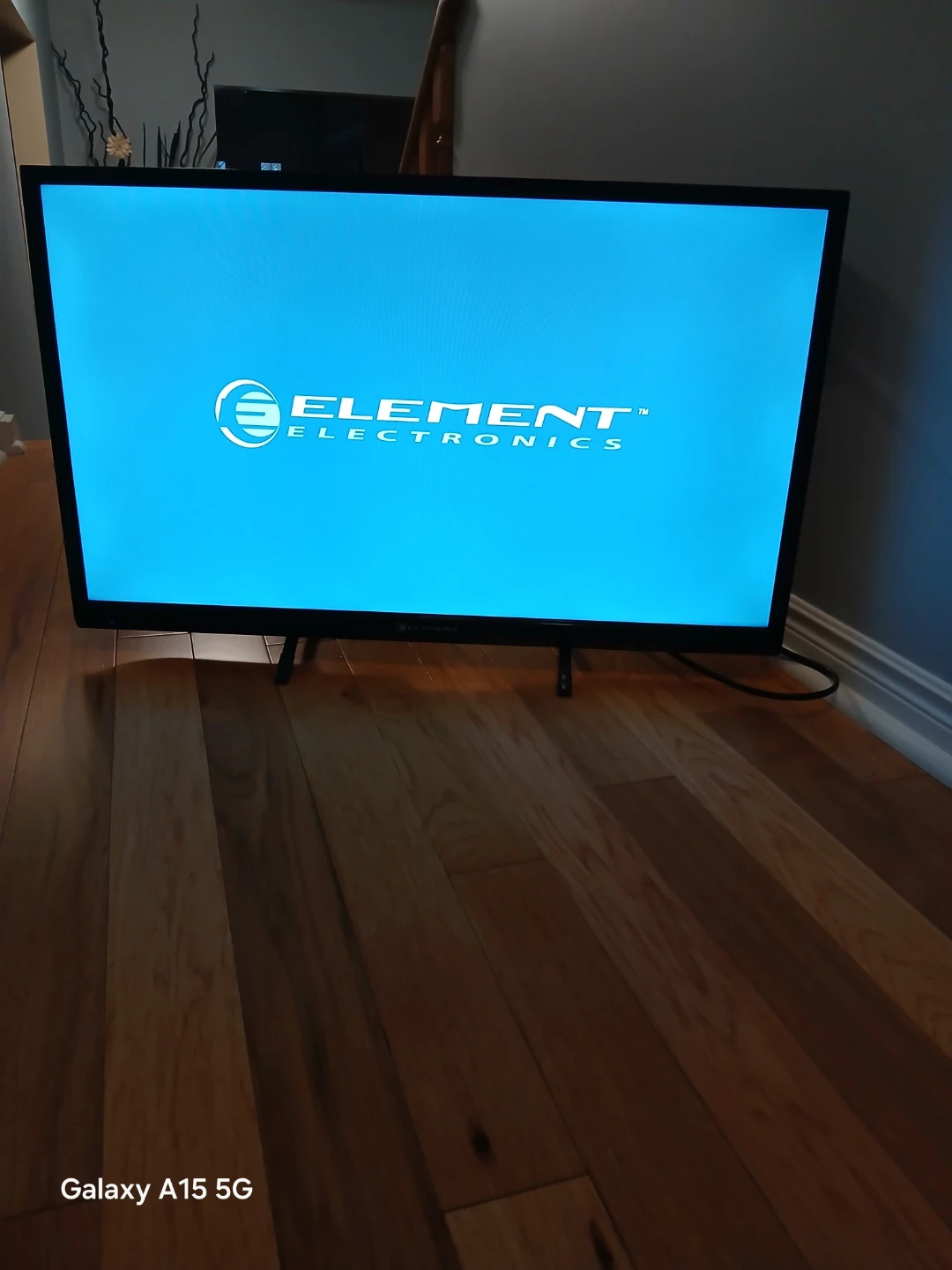 TV