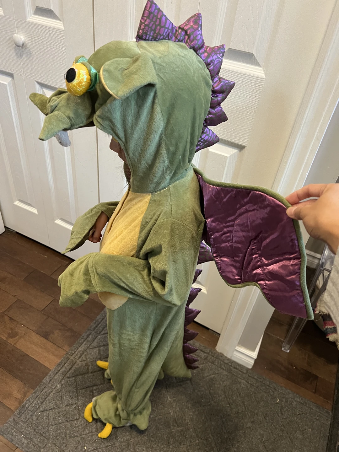 Kids Dragon Costume