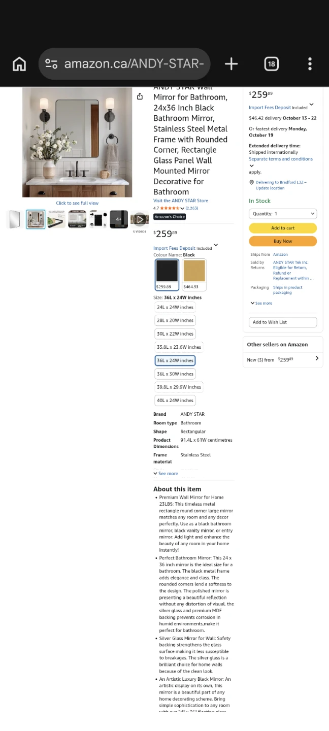 ANDY STAR 24" X 36" BLACK METAL STAINLESS STEEL MIRROR - photo 2