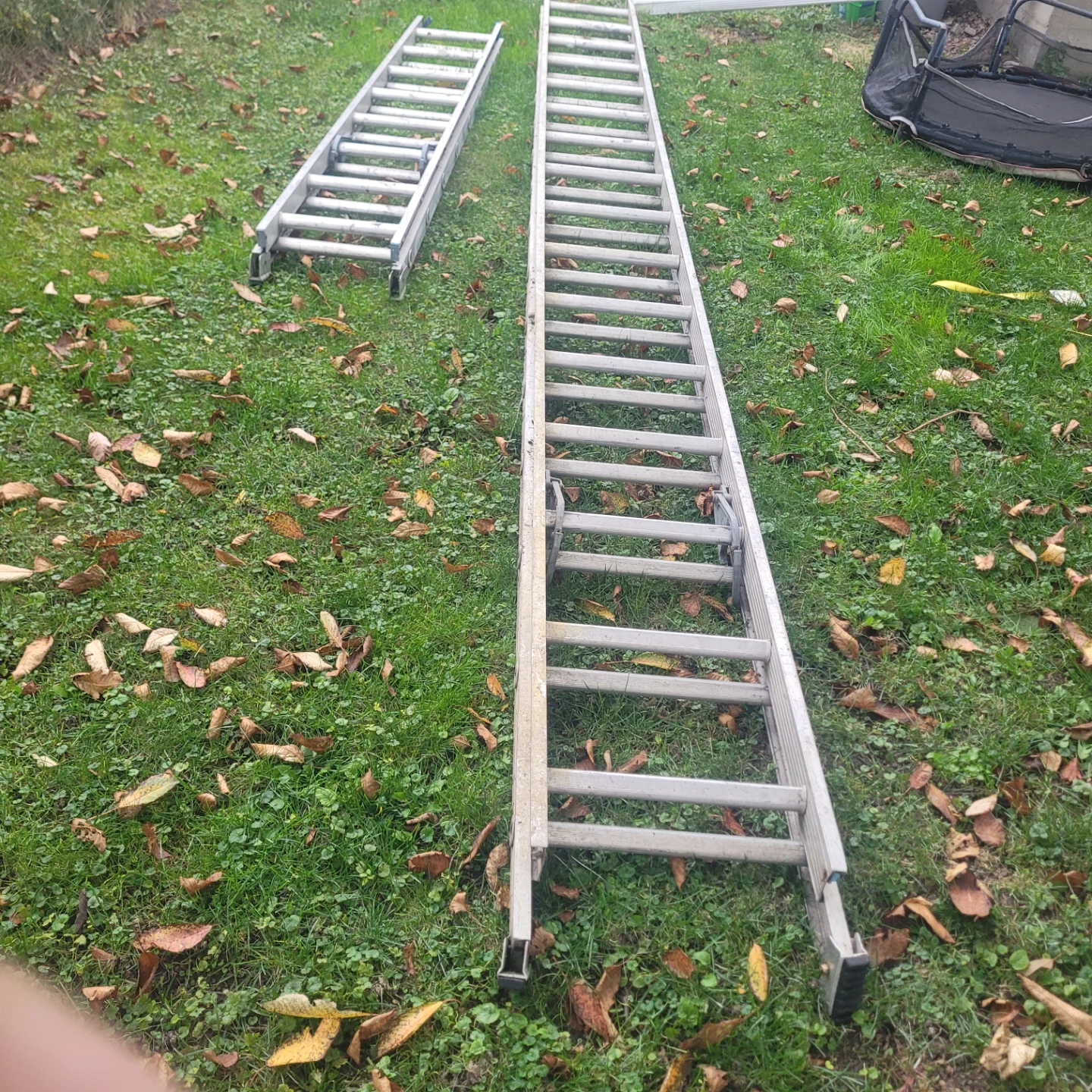 Werner Extension Ladder