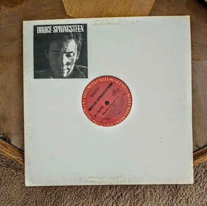 Bruce Springsteen Brilliant Disguise Vinyl Record