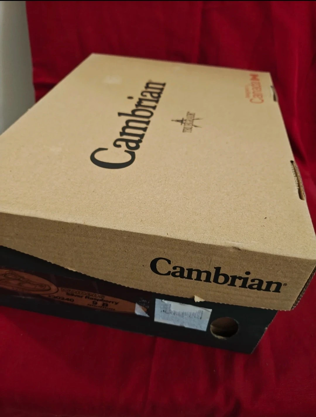 NEW🔸Cambrian Genesis Size 9B Women's Silver Raspberry Shoes - photo 5