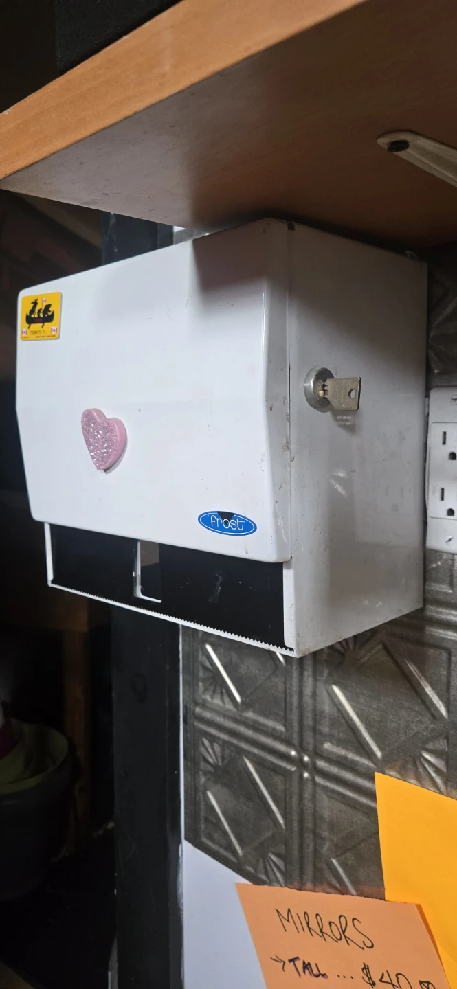 Frost Paper Towel Dispenser - photo 3