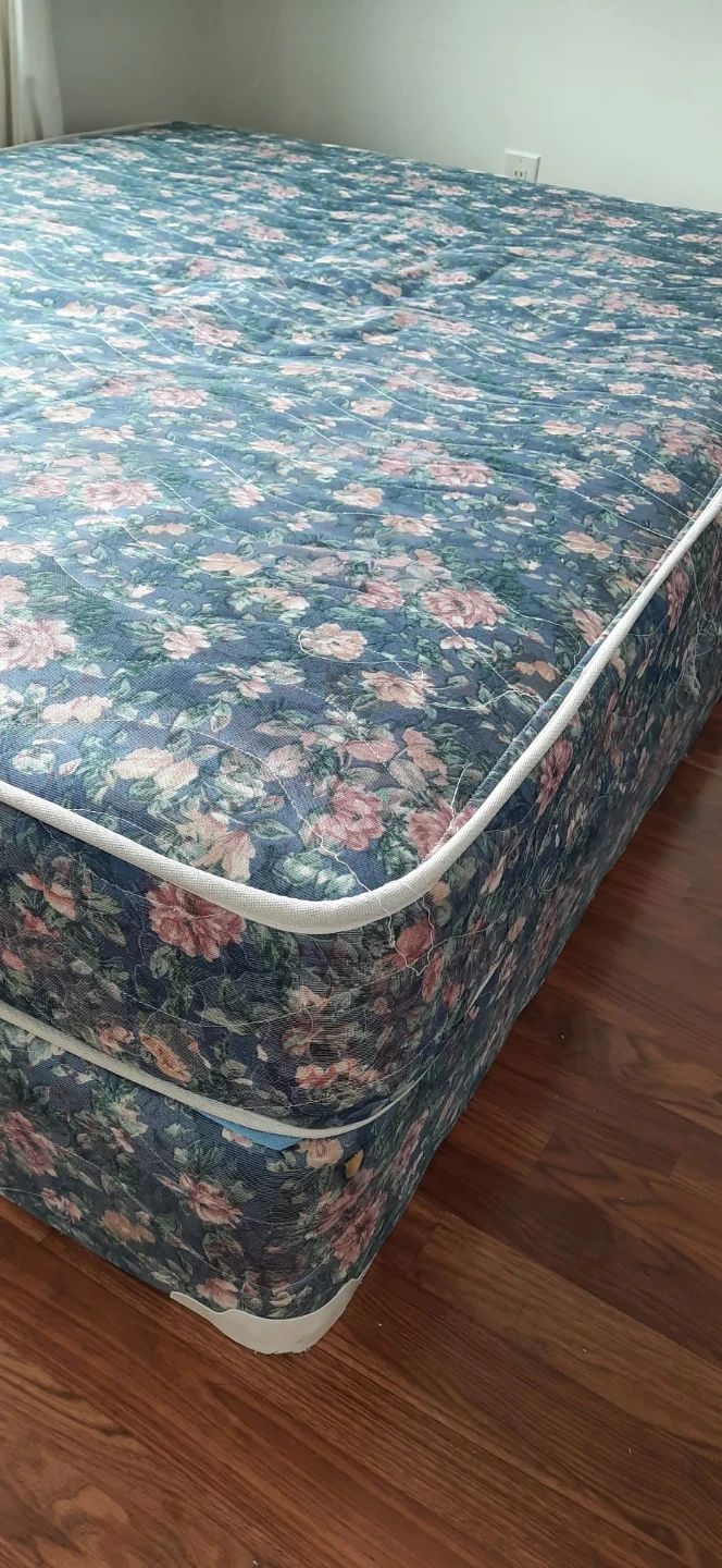Double Mattress and Box Spring Set - photo 2