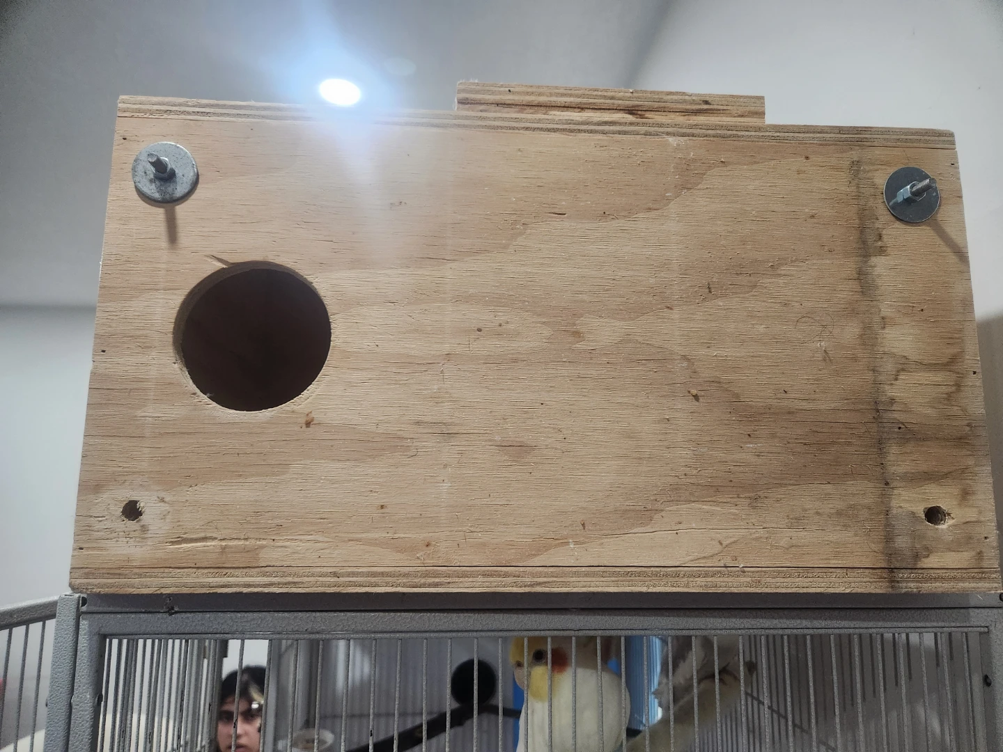 Large Breeding , Nesting Box - photo 3