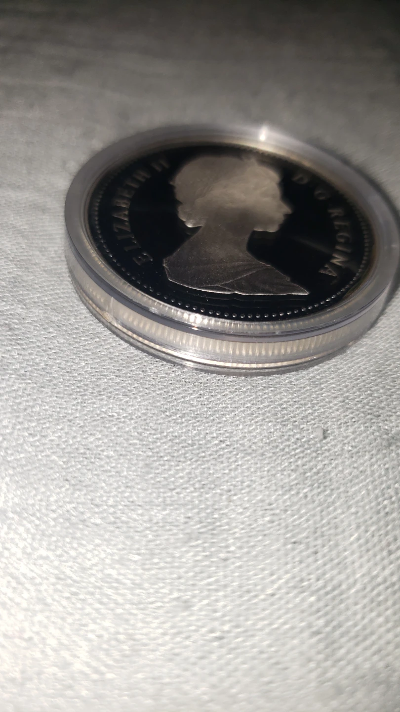 1987 Canadian Davis Strait Commemorative Silver Dollar - photo 4