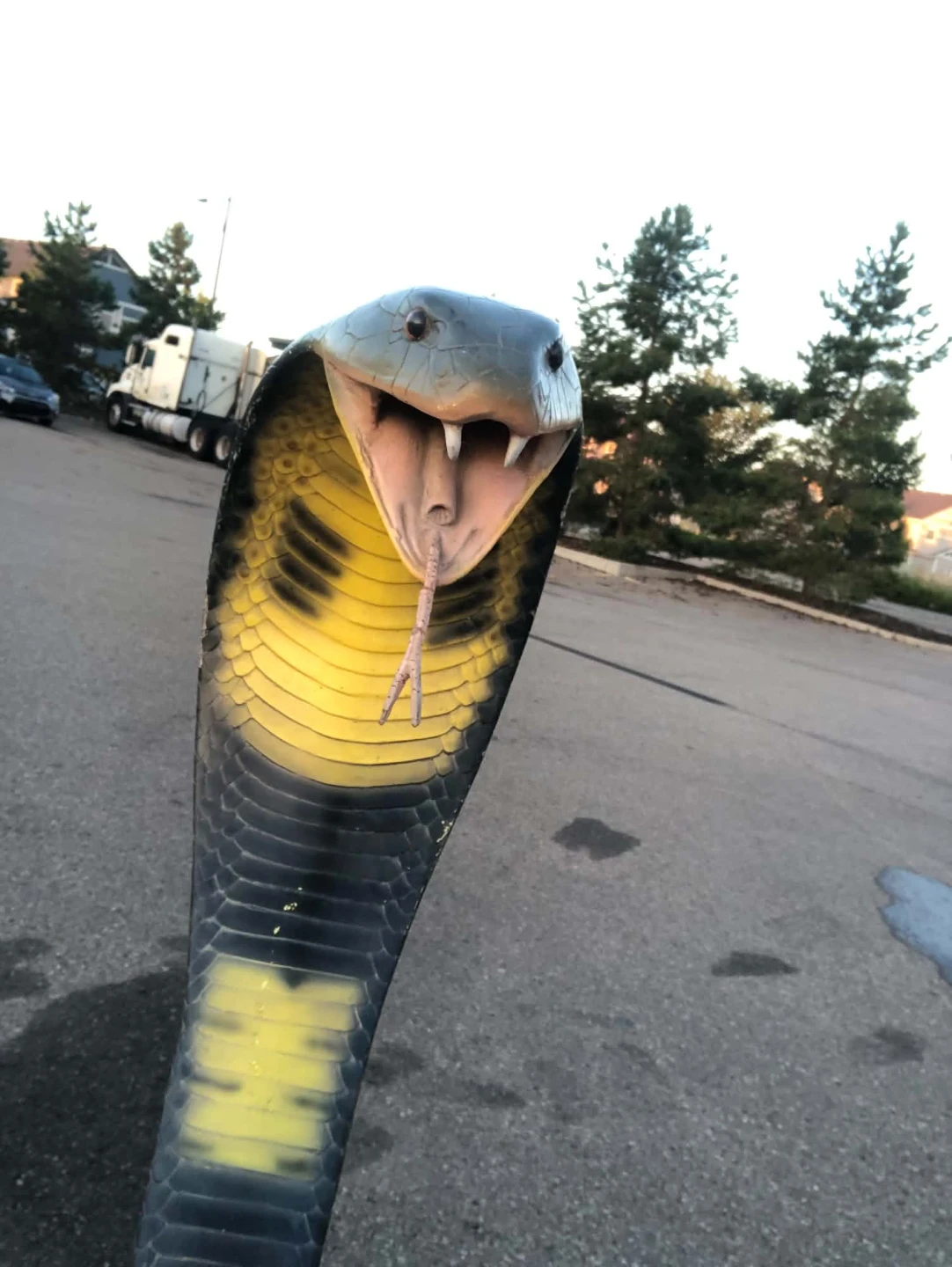 Large Cobra Decorative lawn/ house Statue - photo 3