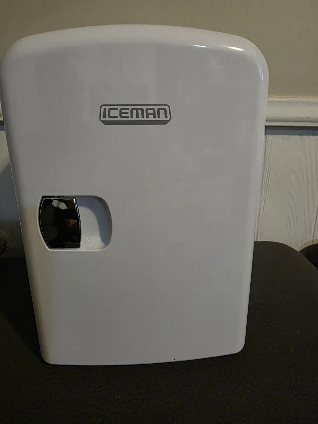 Iceman Portable 4L Personal Mini Fridge