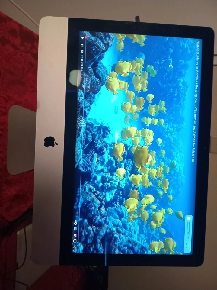 Imac Intel i5 21.5" - photo 4