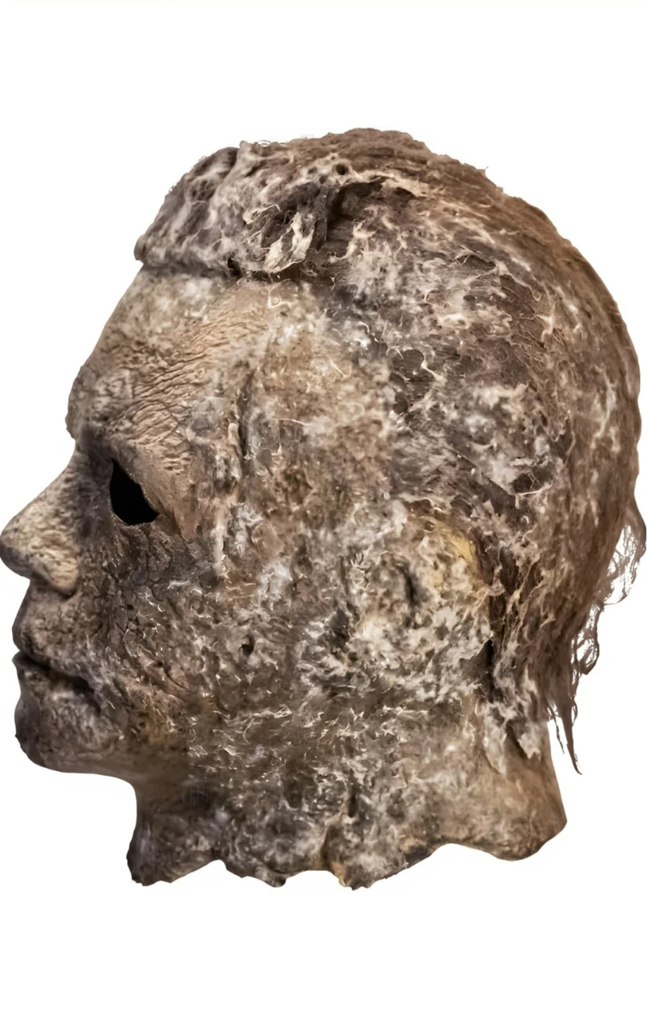 New Trick or Treat Studios Halloween Ends Michael Myers Mask - photo 3