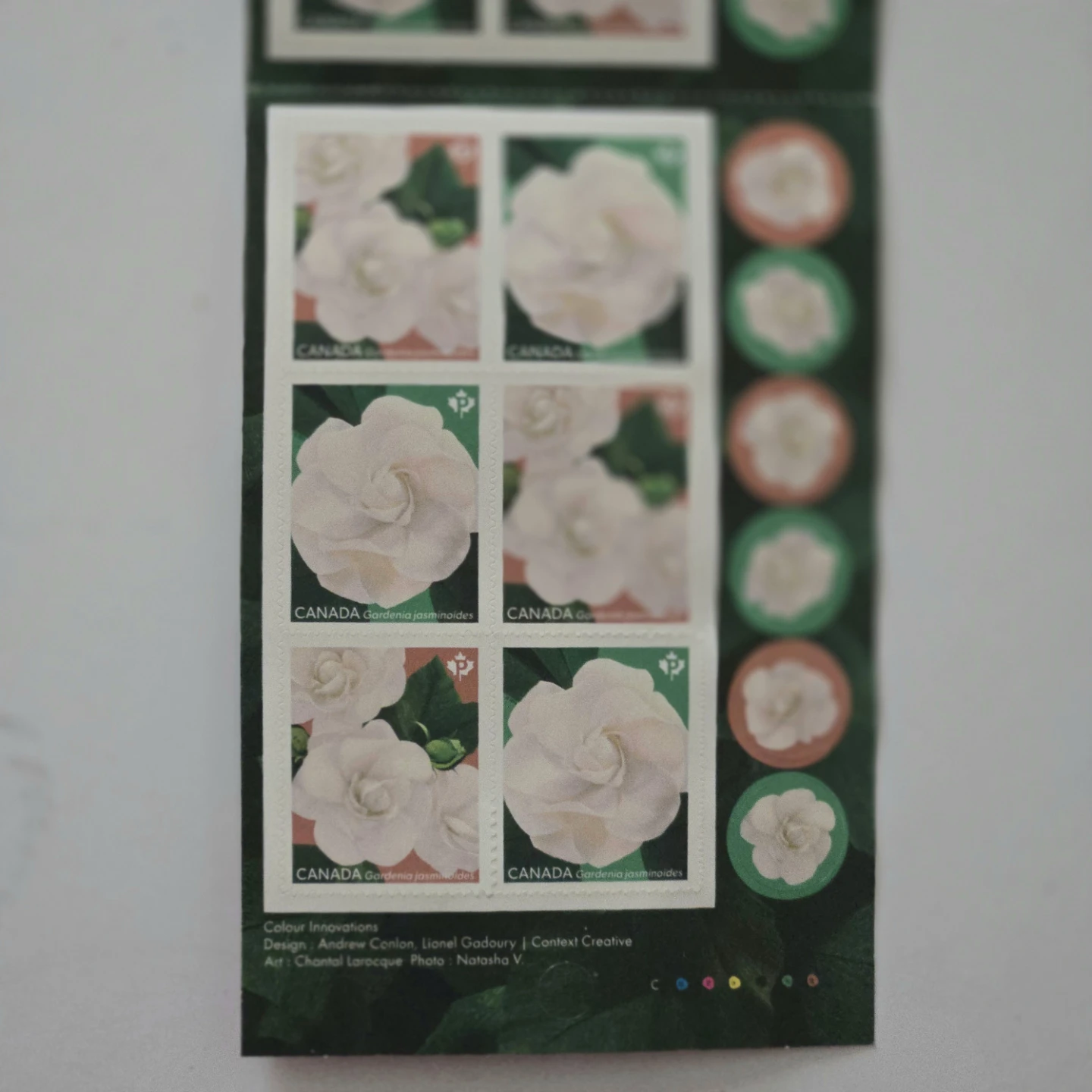 Canada Post Gardenia Permanent Stamps - photo 2