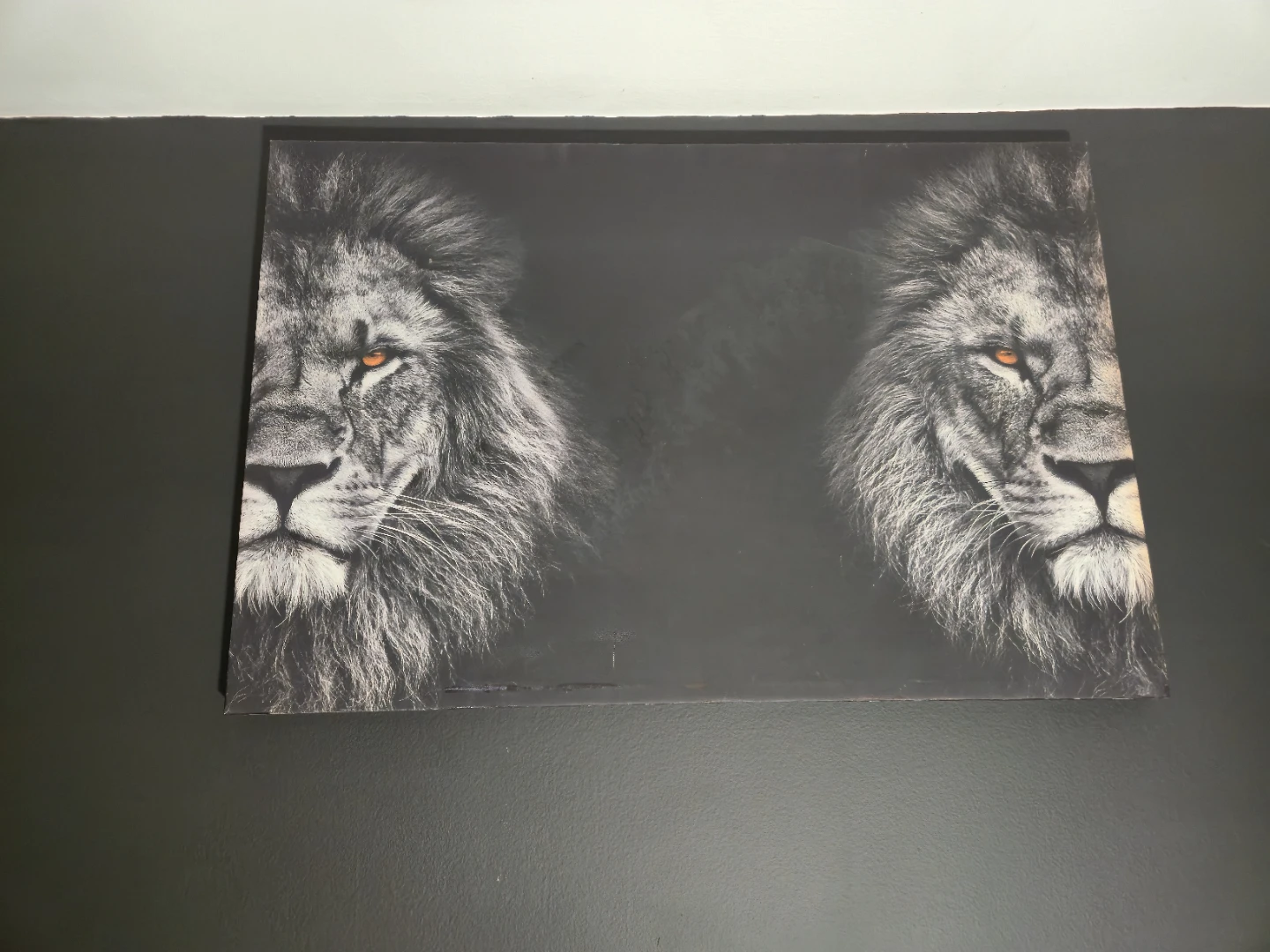 Black & White Double Lion Canvas Wall Art 36" x 24