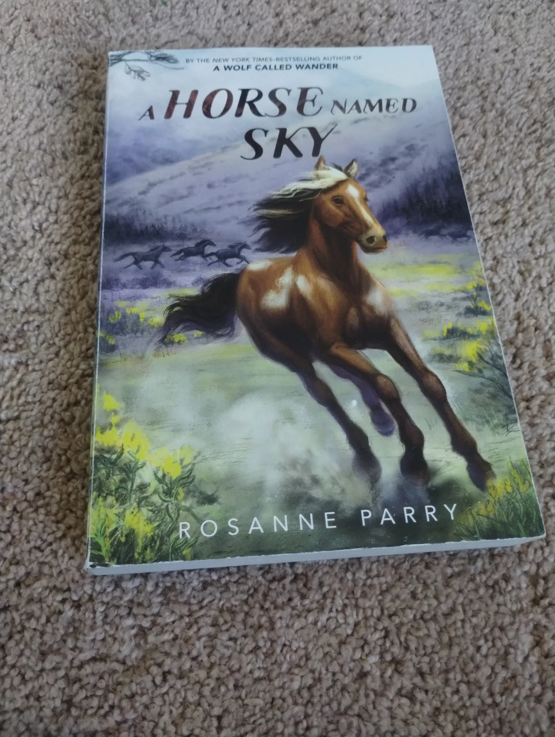 A Horse Named Sky by Rosanne Parry