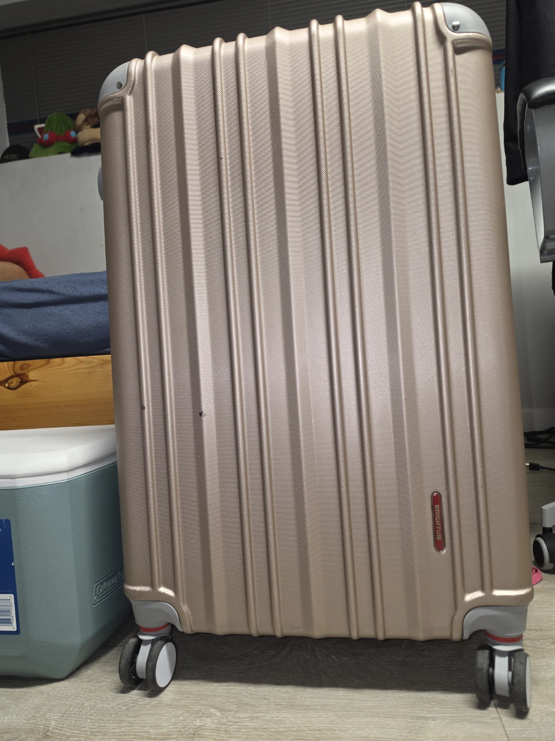 Large Suitcase