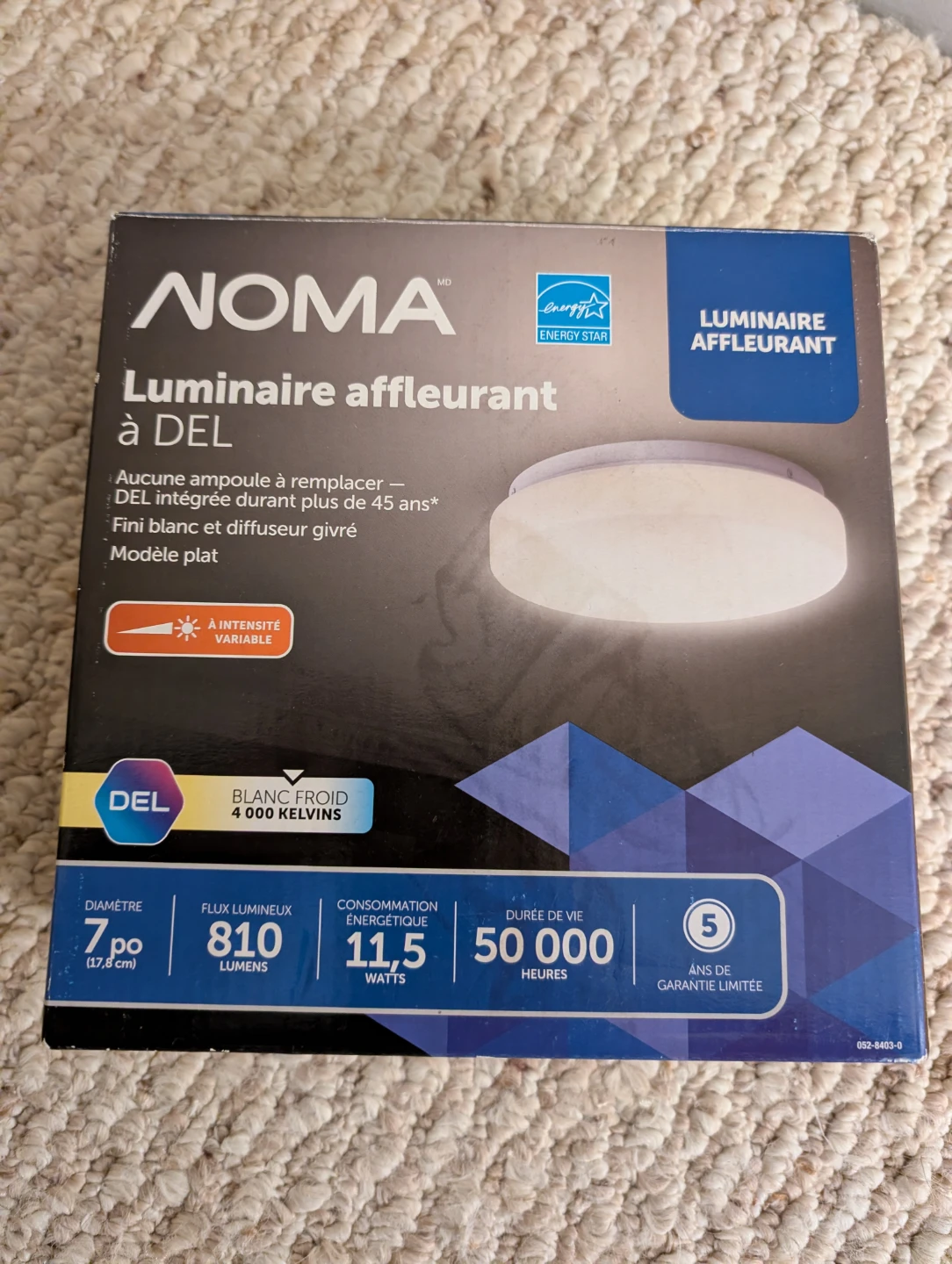 NOMA LED Flush Mount Light