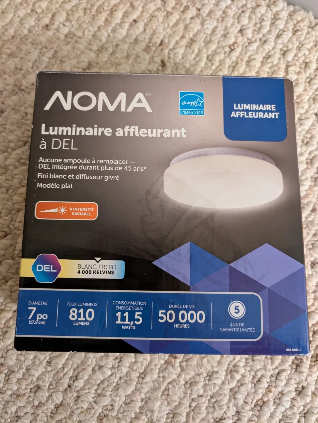 NOMA LED Flush Mount Light